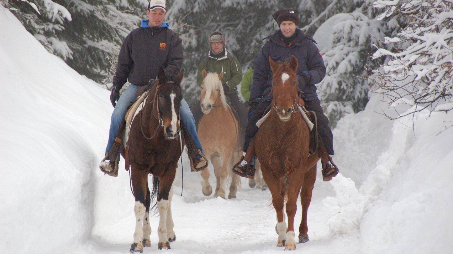 Pferde, Ausritte, Winter | © Angerle Alm/Dana Hofmann