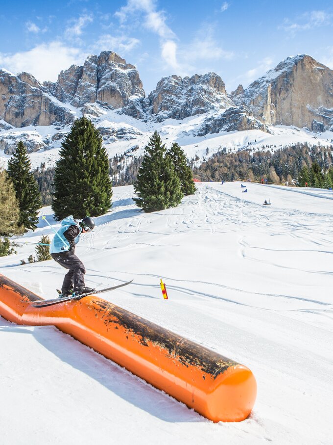 Ski Freestyler DFD Tank View Rosengarten | © Carezza Dolomites/F-Tech