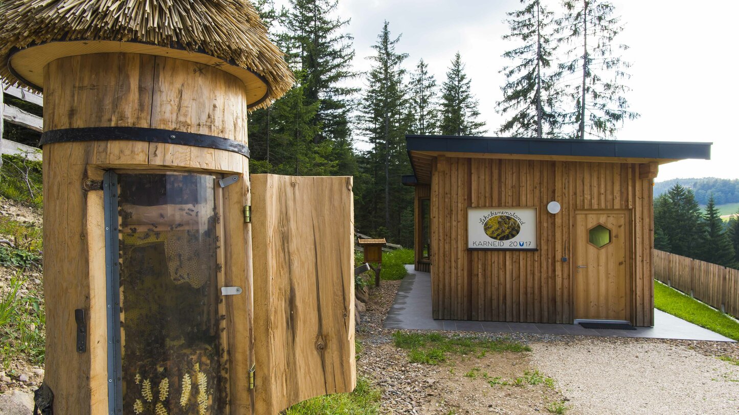 Educational apiary in Steinegg | © Othmar Seehauser