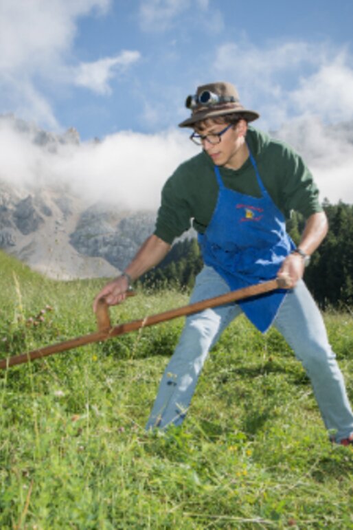 Traditional mowing of the alpine meadow below Latemar | © Obereggen Latemar AG/Günther Pichler