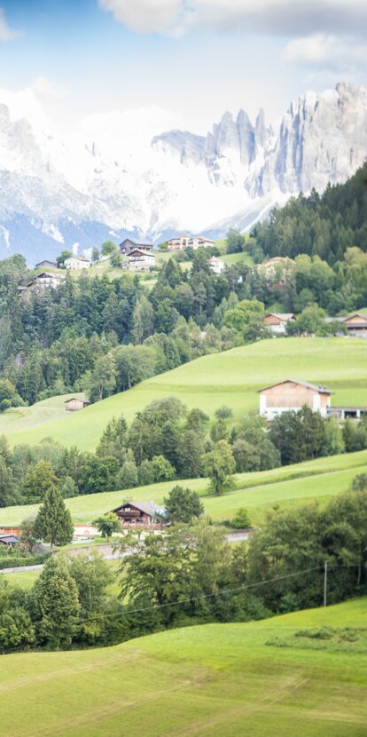 Collepietra piramidi di terra Catinaccio estate | © Alfred Tschager