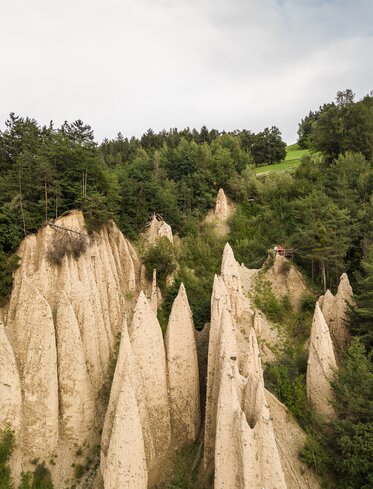 Piramidi di terra Foresta estiva Steinegg | © TV Steinegg/Alfred Tschager