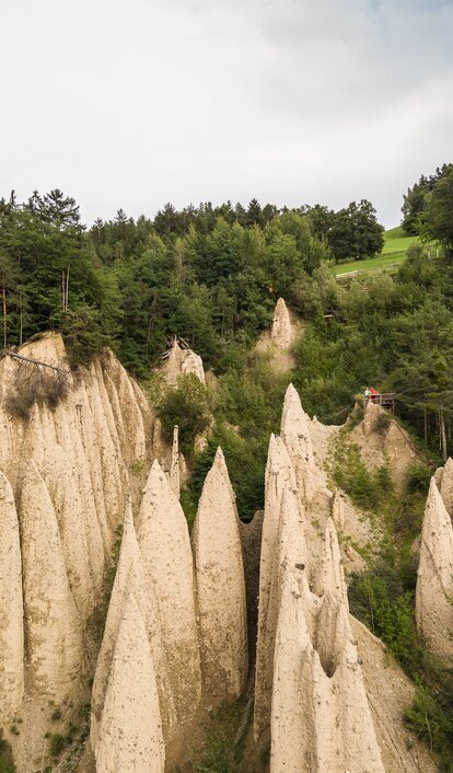 Earth Pyramids Steinegg Summer Forest | © TV Steinegg/Alfred Tschager