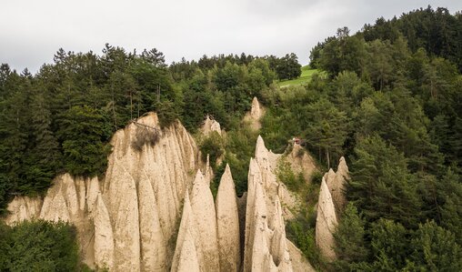 Piramidi di terra Foresta estiva Steinegg | © TV Steinegg/Alfred Tschager