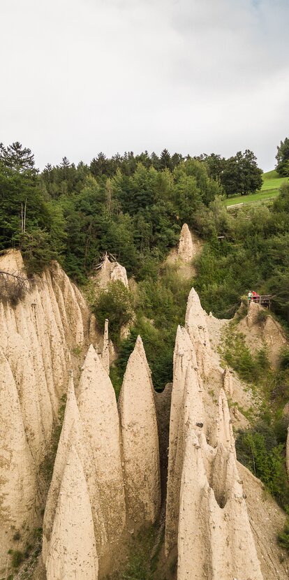 Piramidi di terra Foresta estiva Steinegg | © TV Steinegg/Alfred Tschager