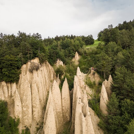 Piramidi di terra Foresta estiva Steinegg | © TV Steinegg/Alfred Tschager