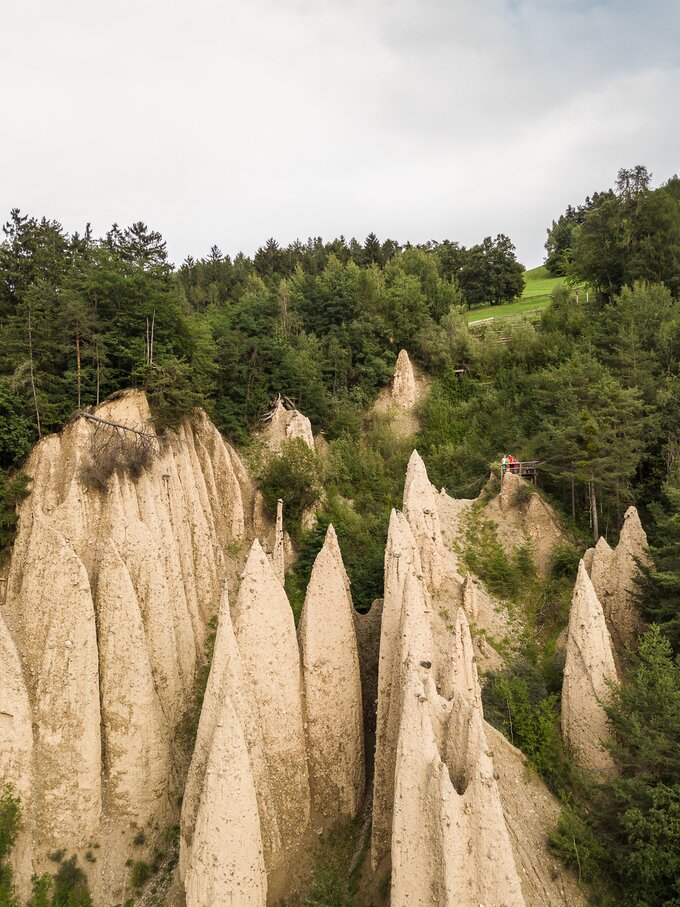 Piramidi di terra Foresta estiva Steinegg | © TV Steinegg/Alfred Tschager