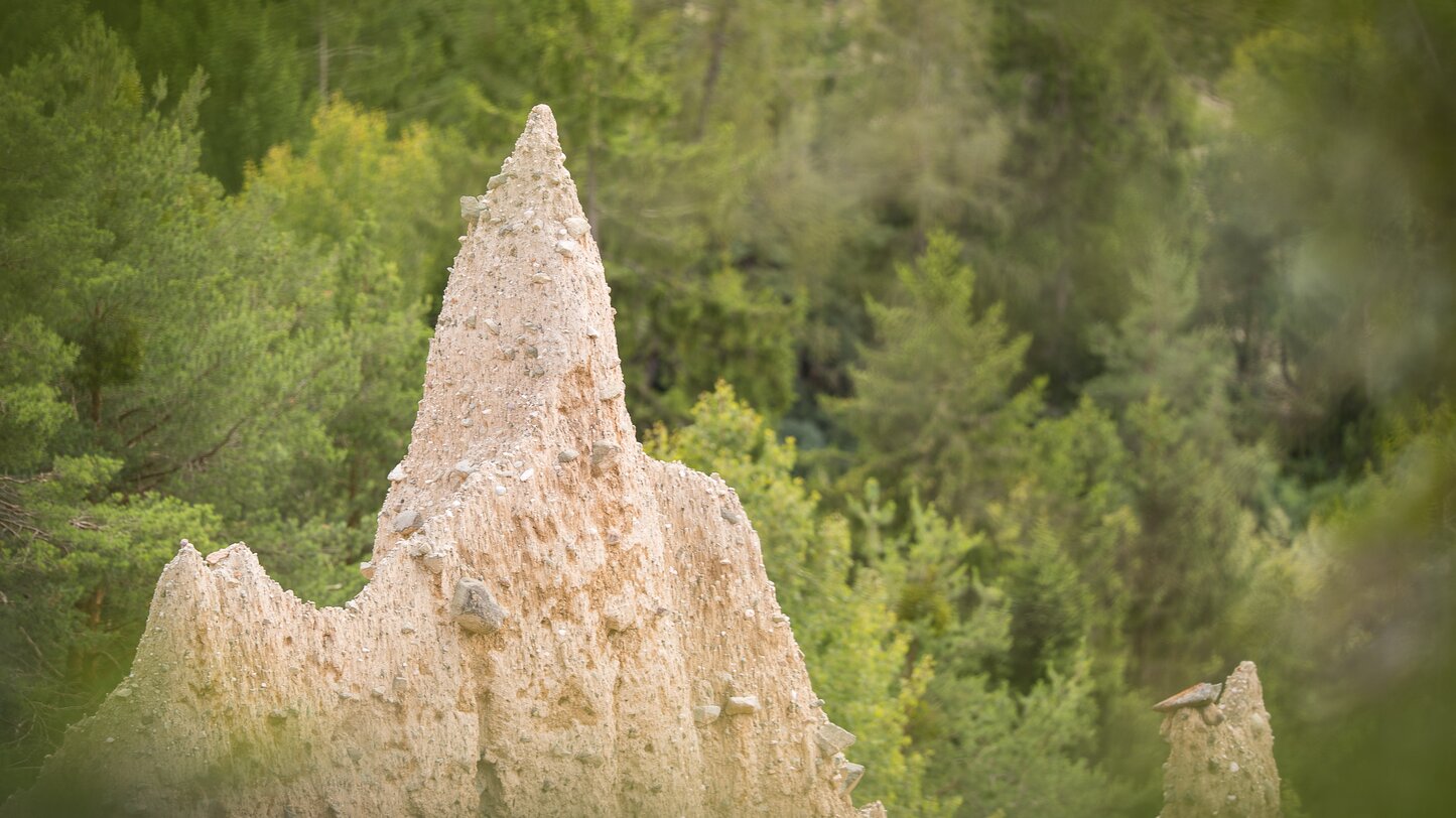 Top of earth pyramid in the forest | © TV Steinegg/Alfred Tschager