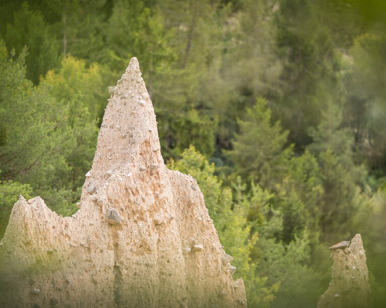 Top of earth pyramid in the forest | © TV Steinegg/Alfred Tschager