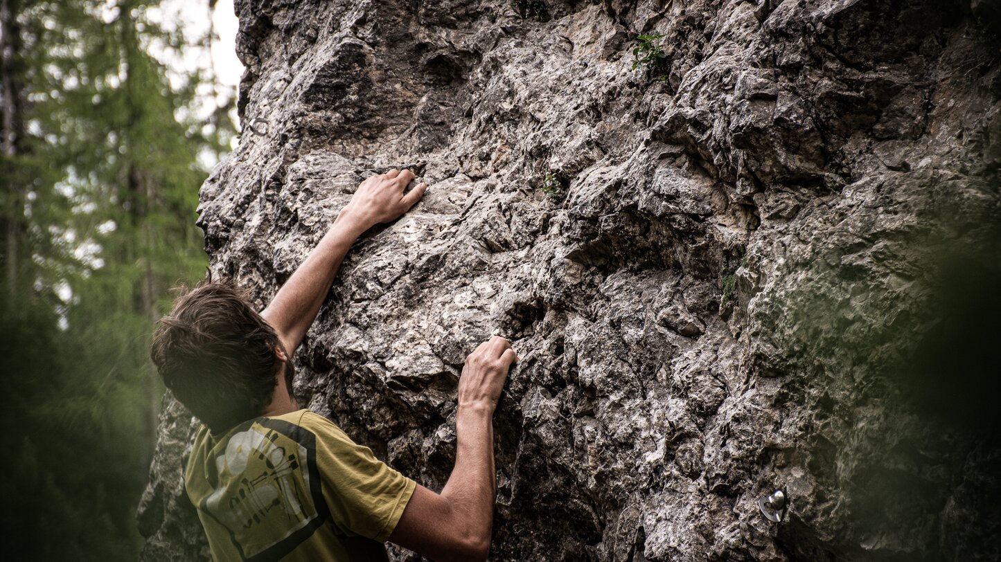 Climber, Stone, Forest | © Alexandra Näckler