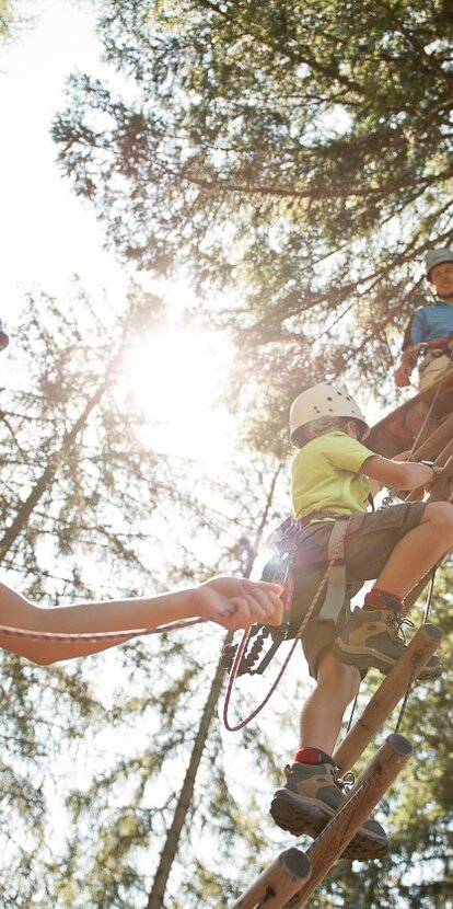 Arrampicata sugli alberi per famiglie | © Alex Filz