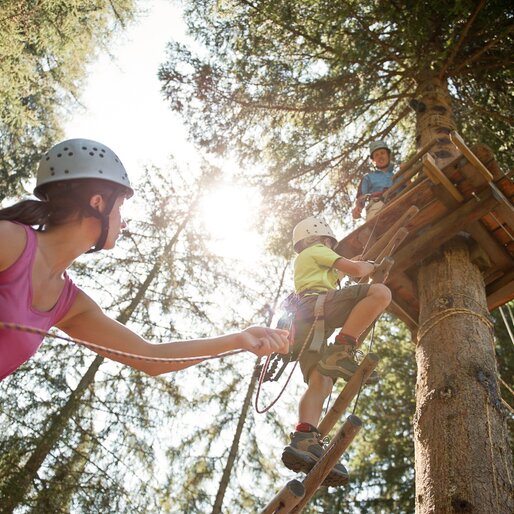 Arrampicata sugli alberi per famiglie | © Alex Filz