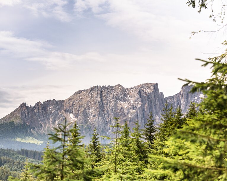 Foresta del Latemar e Latemar | © Eggental Tourismus/Jens Staudt