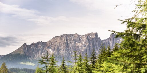 Latemar | © Eggental Tourismus/Jens Staudt Foresta del Latemar e Latemar | © Eggental Tourismus/Jens Staudt