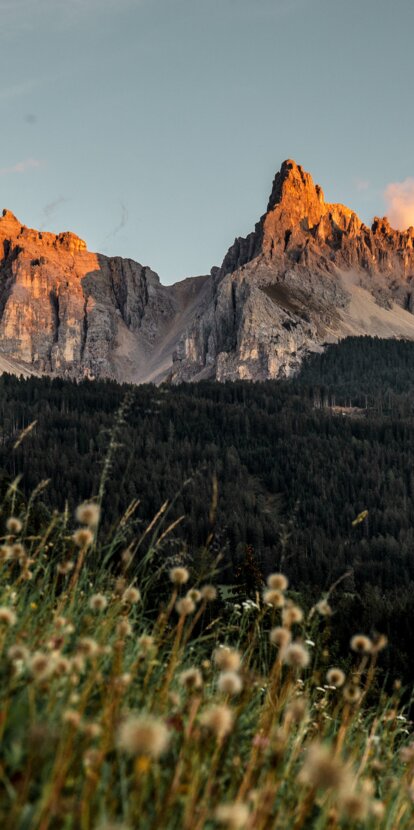 Latemar and Eggentaler Horn autumn meadow | © Gabriel Eisath