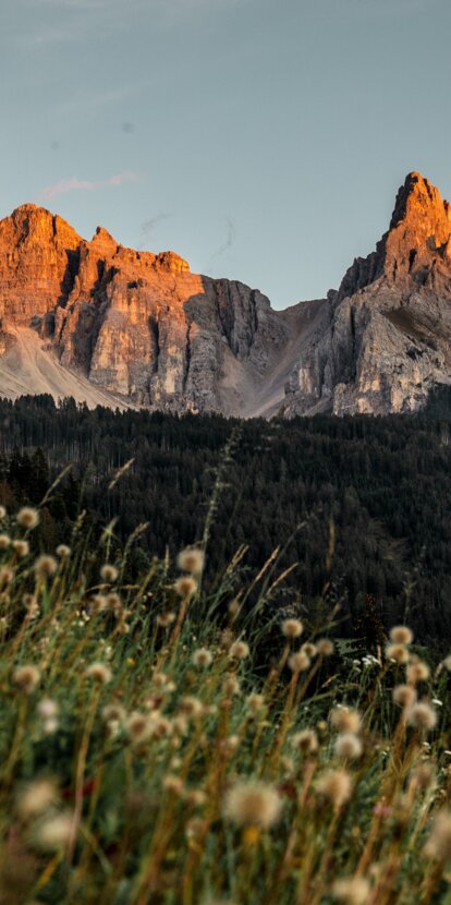 Latemar and Eggentaler Horn autumn meadow | © Gabriel Eisath