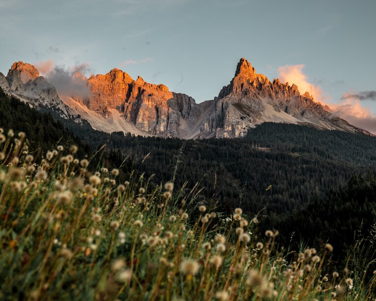 Latemar and Eggentaler Horn autumn meadow | © Gabriel Eisath