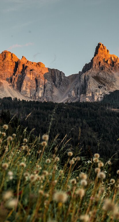 Latemar and Eggentaler Horn autumn meadow | © Gabriel Eisath