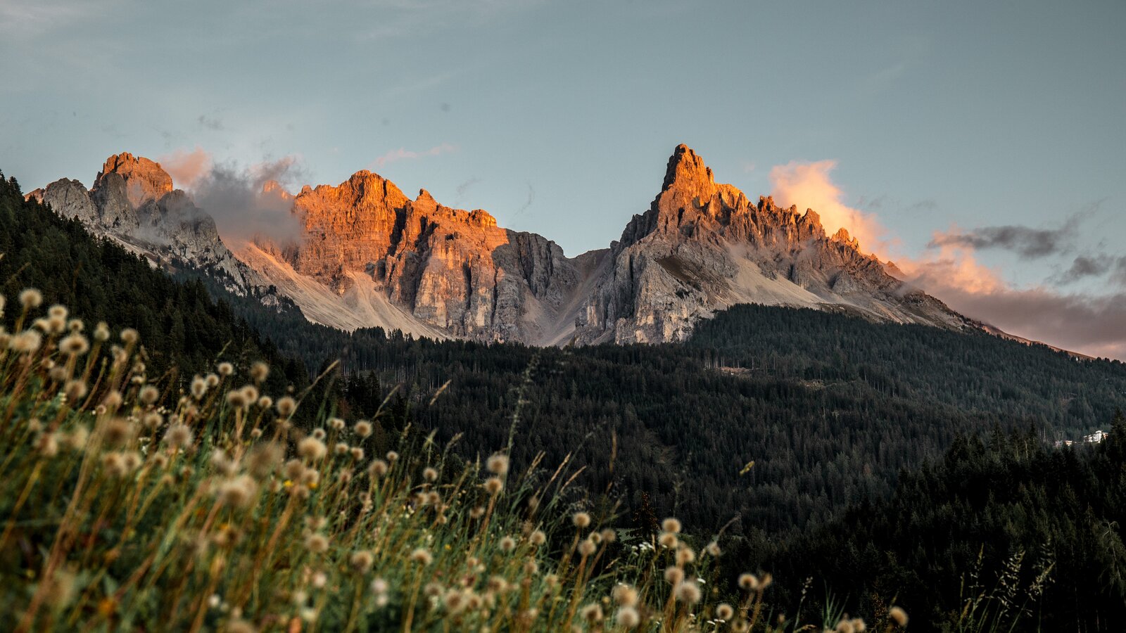 Latemar und Eggentaler Horn herbstliche Wiese | © Gabriel Eisath