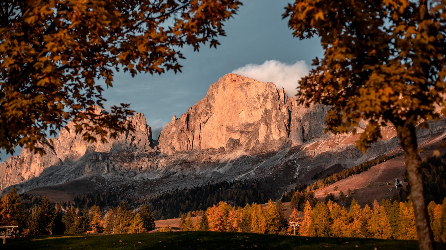 Catinaccio illuminato di rosso alberi in manto autunnale | © Gabriel Eisath