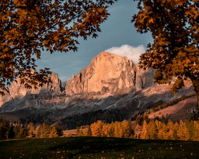 Catinaccio illuminato di rosso alberi in manto autunnale | © Gabriel Eisath