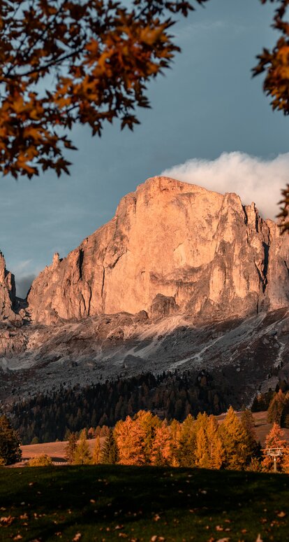 Catinaccio illuminato di rosso alberi in manto autunnale | © Gabriel Eisath
