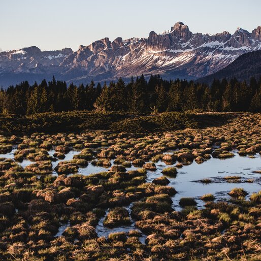 Palude con vista sul Catinaccio innevato | © Gabriel Eisath