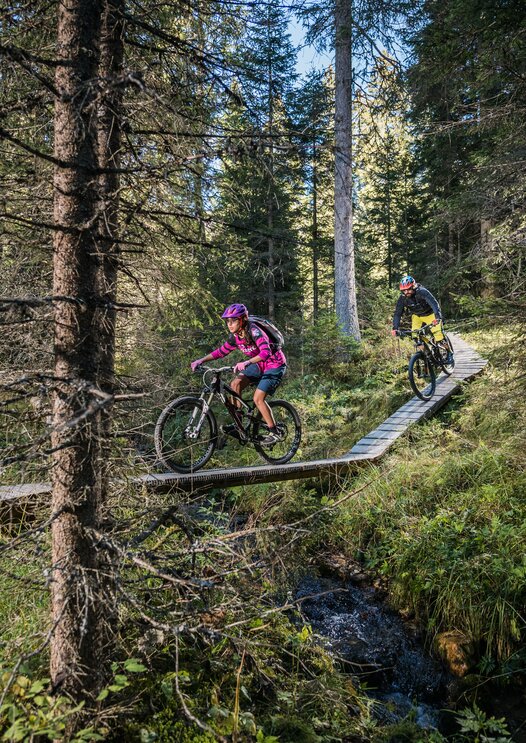 Northsore Bike Trail Carezza Dolomites | © Harald Wisthaler