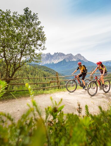 Mountain bike Strada forestale Vista Latemar | © Jens Staudt