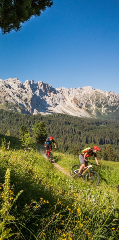 Mountain biker downhill background Latemar | © Jens Staudt