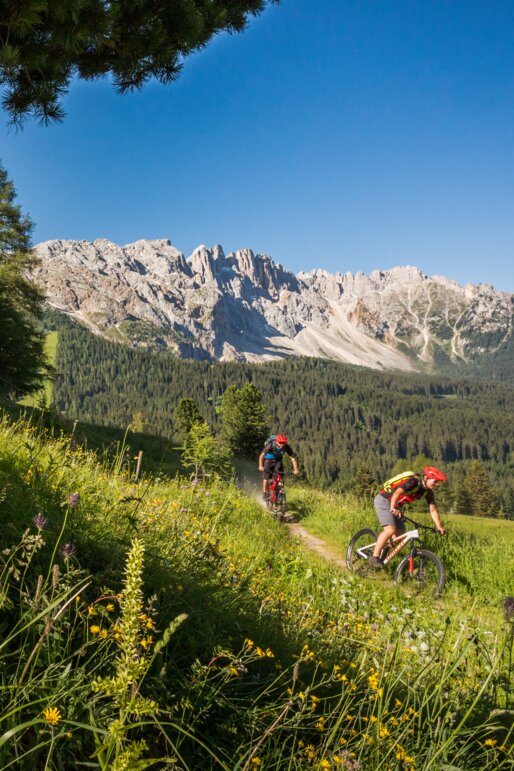 Mountain biker in discesa sfondo Latemar | © Jens Staudt