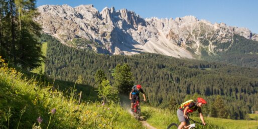Mountainbiker Abfahrt Hintergrund Latemar | © Jens Staudt