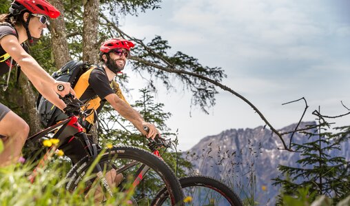 Mountainbiker, Wald, Blumen, Blick Latemar | © Eggental Tourismus/Jens Staudt