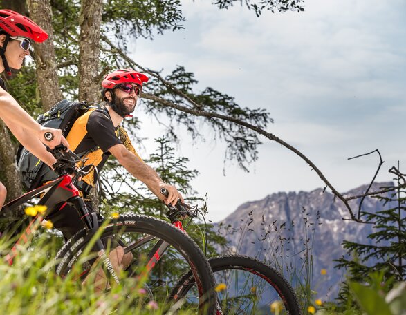 Mountain biker, forest, flowers, view Latemar | © Eggental Tourismus/Jens Staudt