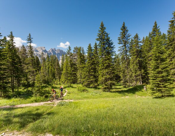 Biker, Forest, Meadow, Latemar | © Eggental Tourismus/Jens Staudt