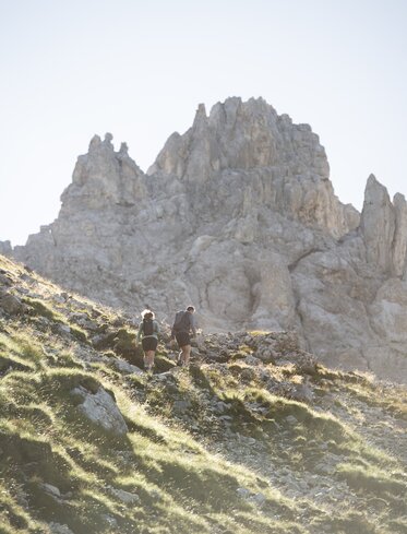 Hike late summer with view of Latemar | © Alex Filz