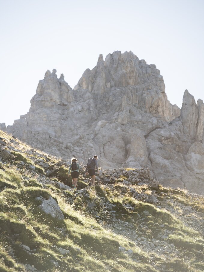 Hike late summer with view of Latemar | © Alex Filz