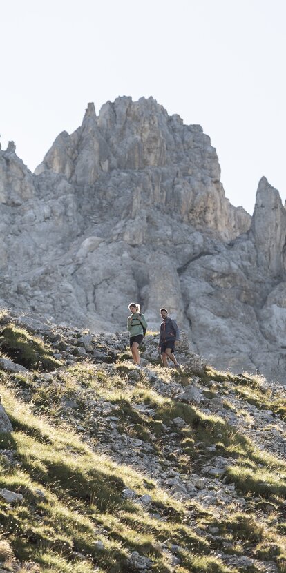 Hike with view on Latemar from Obereggen | © Alex Filz