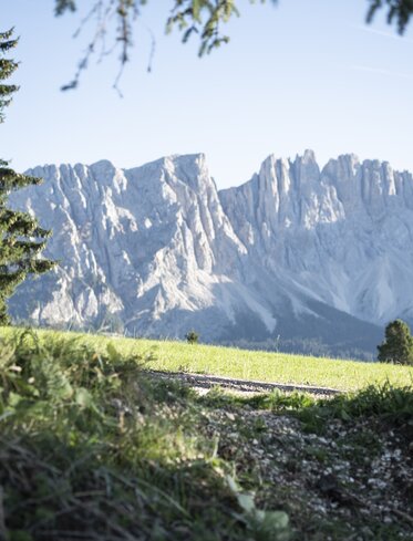 Hiking in autumn with view on the Latemar mountain | © Alex Filz