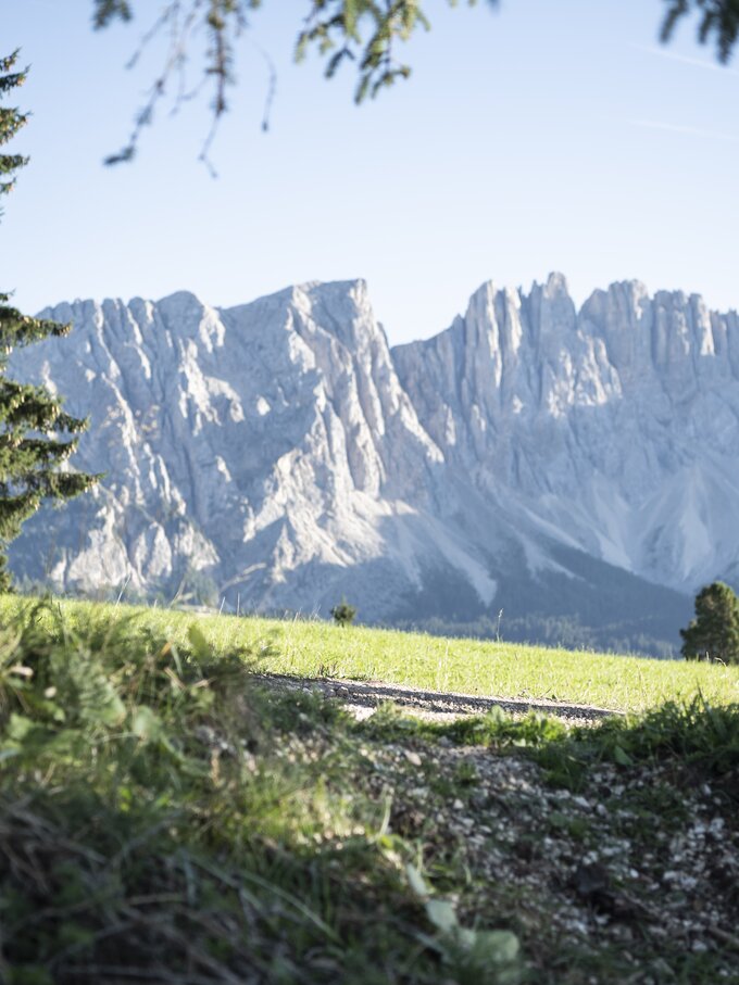 Hiking in autumn with view on the Latemar mountain | © Alex Filz