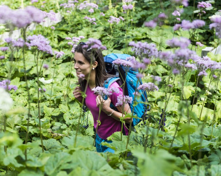 Flower hike in the Eggental valley | © Helmuth Rier