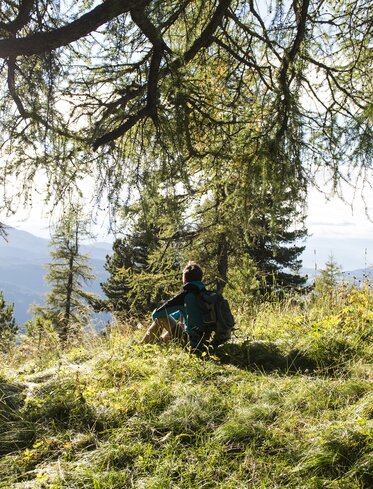 Hike in the forest of Latemar | © Helmuth Rier