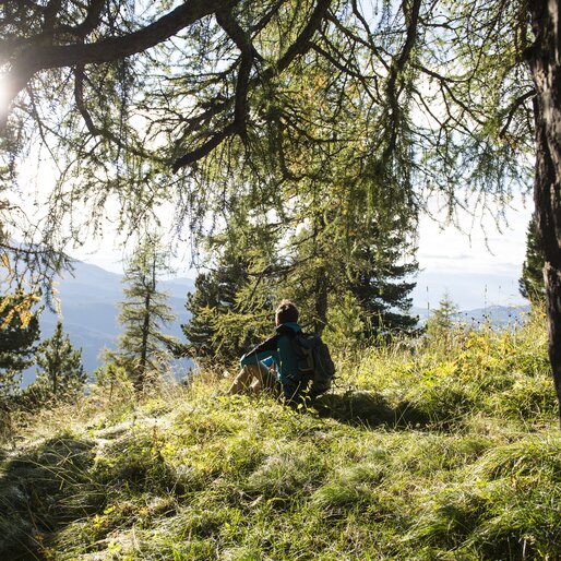 Hike in the forest of Latemar | © Helmuth Rier