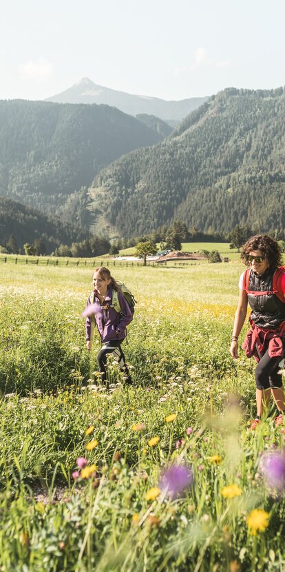 Familienwanderung Sommerwiese Deutschnofen | © Thomas Monsorno