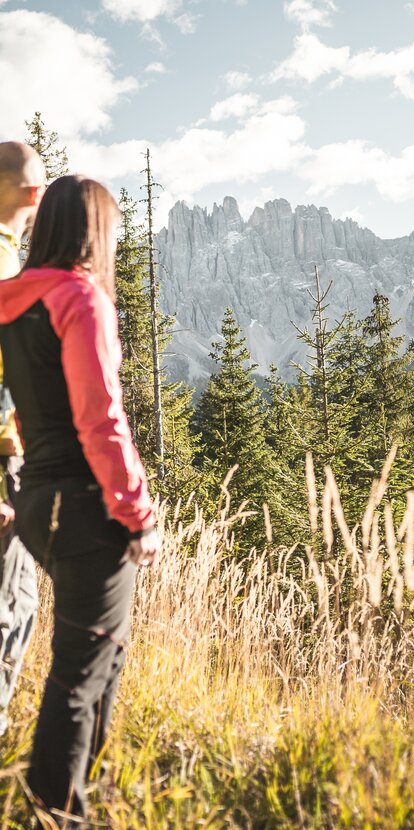 Herbstwandern mit Blick auf Latemar | © Thomas Monsorno