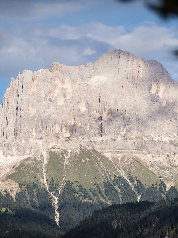 Cima del Catinaccio, Torri del Vajolet, Estate, Boschi | © TV Steinegg/Alfred Tschager