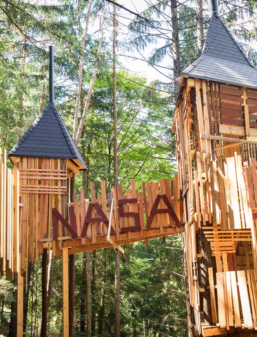 Casa sull'albero, Famiglia, Foresta | © TV Steinegg/Alfred Tschager