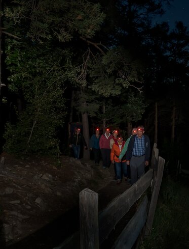 Guided night hike, headlamps, forest | © Armin Mair (Indio)
