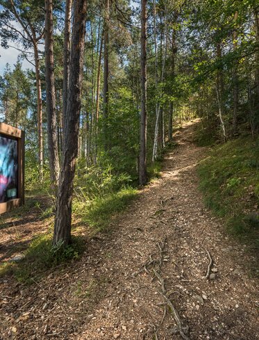 Cartellone Astronomia Mostra all'aperto Sentiero escursionistico Foresta | © Armin Maier(Indio)