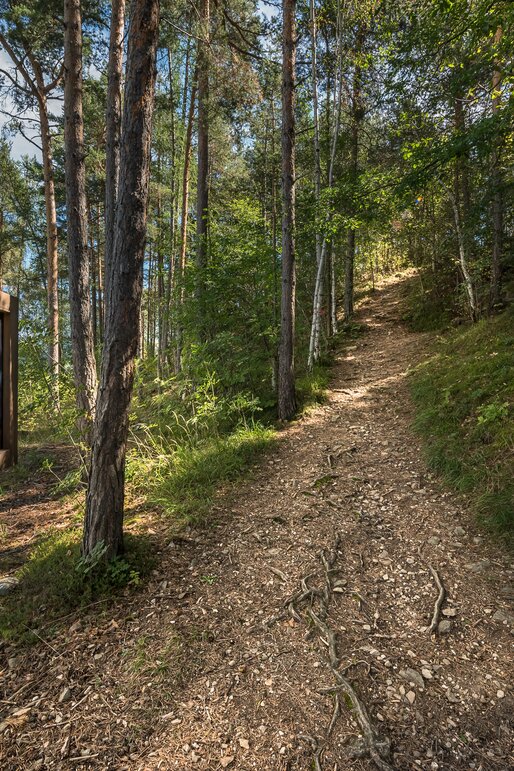 Bildtafel Astronomie Freiluftausstellung Wanderweg Wald | © Armin Maier(Indio)